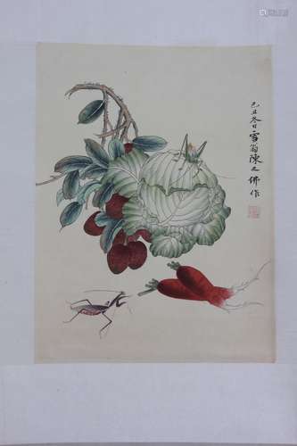 A CHINESE PAINTING OF INSECTS & FRUIT & VEGETABLE BY