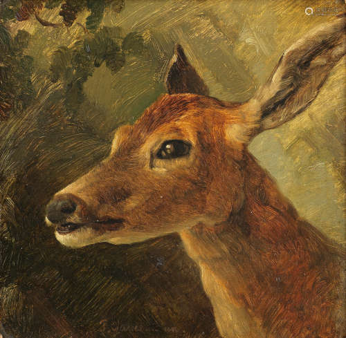 Study of a deer Friedrich Gauermann(Austrian, 1807-1862)