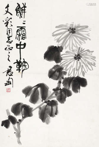 钱君匋（1907～1998） 菊 立轴 水墨纸本