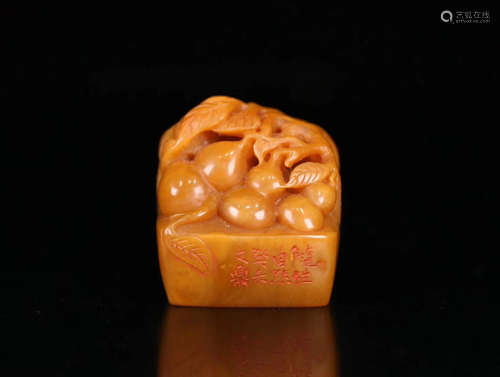 A TIANHUANG STONE CARVED SEAL