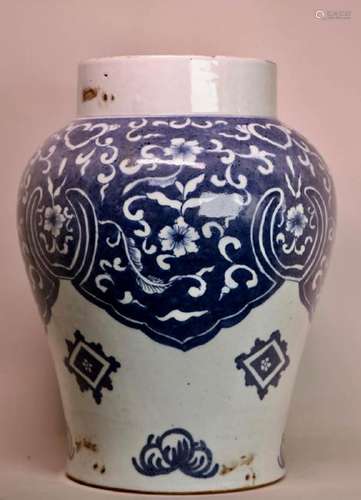 Chinese Kangxi Blue White Porcelain Jar