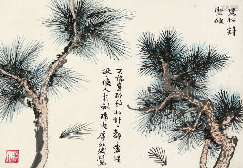 陆俨少（1909～1993） 松树画稿 镜片 纸本