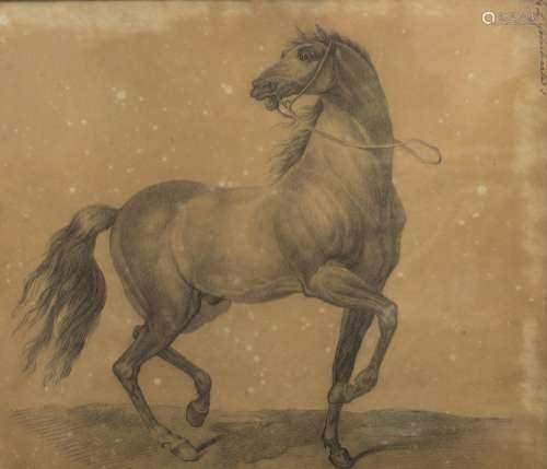 Attributed to Gilles Lambert Godecharle (1750-1835) Study of a horse Pencil on paper, signed at