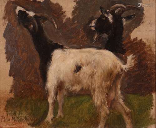 Paul Friedrich Meyerheim (German 1842-1915)Study of goatsSignedOil on canvas laid on board20.5 x