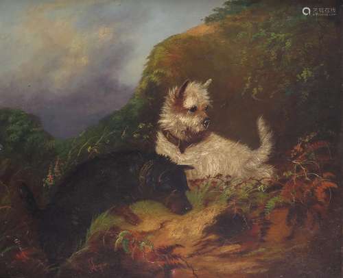 J. Langlois (1855-1904)Two Terriers rabbitingSignedOil on canvas51 x 61cm, 20 x 24in++Unlined, 2