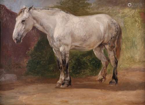 Thomas Sidney Cooper R.A. (1803-1902)Study of a grey carthorse restingSignedOil on canvas50.5 x