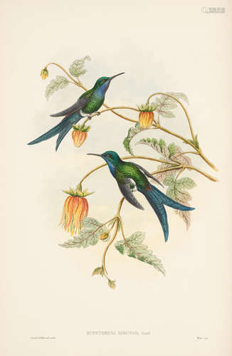 A Monograph of the Trochiliadae, or Family of Humming-Birds. London: Henry Sotheran, 1887.  GOULD, JOHN. 1804-1881; and RICHARD BOWDLER SHARPE.