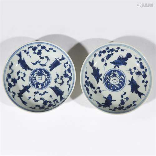 A pair of Chinese small blue and white porcelain 