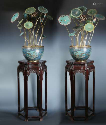 MAGNIFICENT PAIR OF GILT BRONZE CLOISONNE LOTUS PLANTER