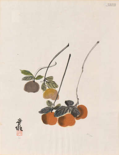 CHINE, XXe siècle  Lithographie représentant des fruits de Kakis.