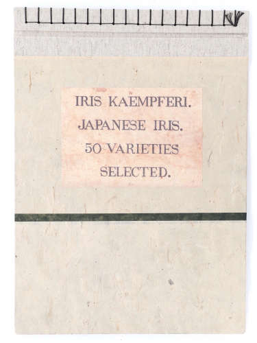 JAPON, 1910 - 1920  Livre Iris Kaempferi