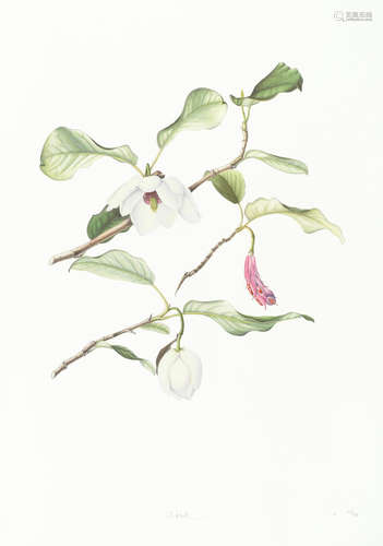 The Highgrove Florilegium, Watercolours Depicting Plants Grown in the Garden at Highgrove, 2 vol., NUMBER 155 OF 175 SETS, The Prince's Charities Foundation/Addison, 2008-2009 HIGHGROVE FLORILEGIUM