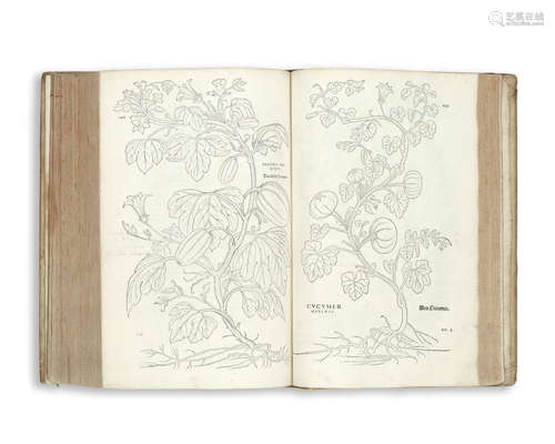 De historia stirpium commentarii insignes, FIRST EDITION, Basel, Michael Insingrin, 1542 FUCHS (LEONHARD)