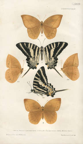 The Butterflies of India, Burmah and Ceylon, 3 vol., FIRST EDITION, Calcutta, Calcutta Central Press, 1882-1890 MARSHALL (GEORGE F.L.) AND LIONEL DE NICEVILLE