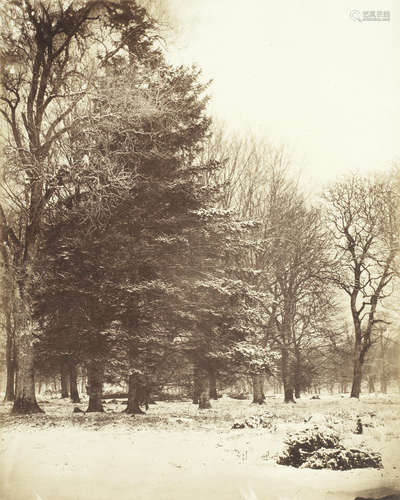 Trees under Snow, 1856 CRAVEN (WILLIAM)