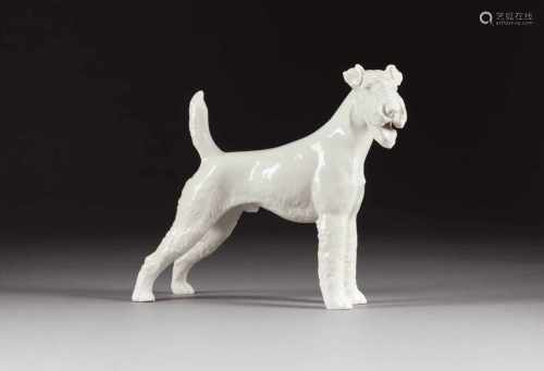 THEODOR KÄRNER1884 Hohenberg an der Eger - 1966 MünchenFOXTERRIER Deutsch, Allach, 1936-1945