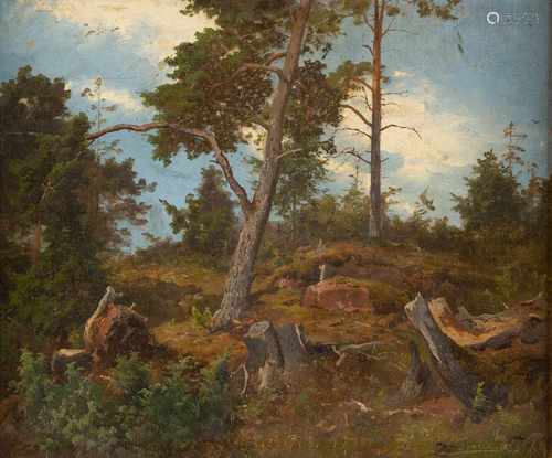 DEUTSCH/ÖSTERREICHISCHER LANDSCHAFTSMALERTätig um 1870Kiefernwald Öl auf Leinwand auf Karton. 35,5 x