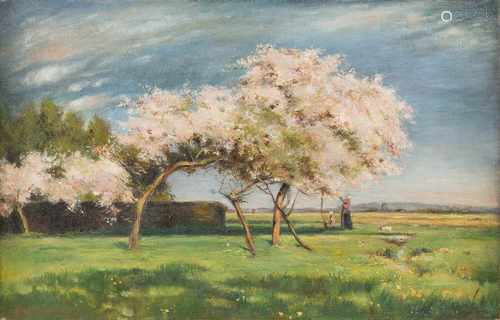 GEORG MACCO1863 Aachen - 1933 GenuaKirschblüten Öl auf Leinwand. 32 x 50 cm (R. 49 x 67 cm).