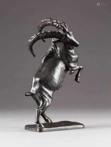 RUDOLF KAESBACH1873 Mönchengladbach - 1955 BerlinSteinbock Bronze, dunkel patiniert. H. 29,5 cm. Auf