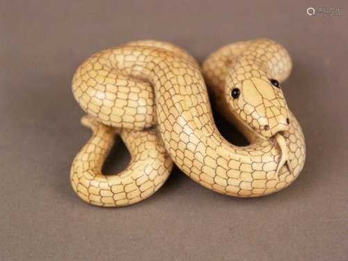 Netsuke ''Taming Snake'' - Japan, probably Taisho time, ivory, darkly colored details,<br />minimal rubbed, fully round representation of a snake, signed on the underside, eyes inlaid with black horn, ca.2cm high, l.ca.5,5cm, weight: ca.53g