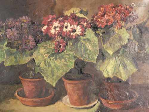 Unknown - Flower Bank with three potted plants, oil on canvas, indistinctly signed lower<br />right, restored canvas (verso mended), ca.72x95cm, framed