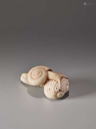 A FINE PALE STAG ANTLER NETSUKE OF A SNAIL CRAWLING ON …