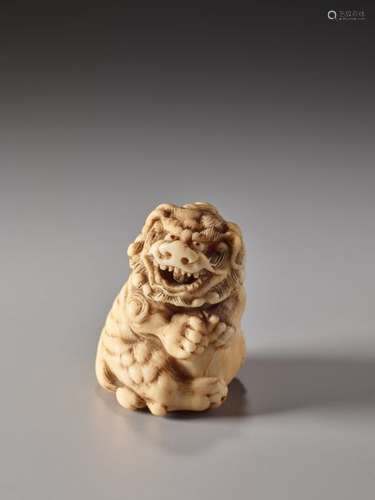 AN IVORY NETSUKE OF A GRIM SHISHI WITH BALL