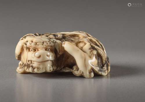 AN IVORY NETSUKE OF A RECUMBENT SHISHI