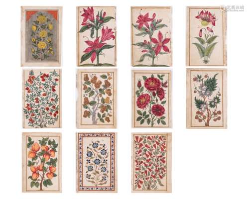 A GROUP OF ELEVEN FLOWER AND TREE MINIATURE PAINTINGS – INDIA 19th CENTURY