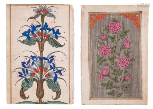 TWO INDIAN MINIATURE PAINTINGS OF BLOSSOMS