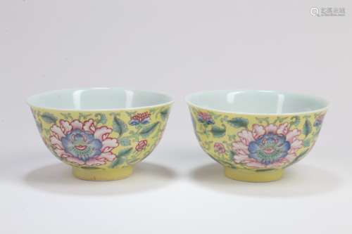 Pair of Chinese Famille-Rose Porcelain Bowls