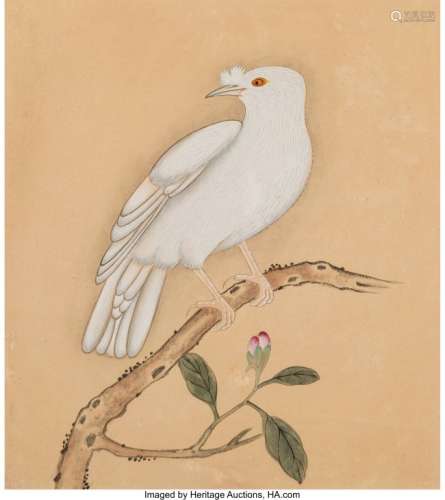 78240: Chinese School  Six Chinese Paintings of Bird, Q