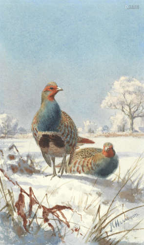 Partridges in a winter landscape  John Cyril Harrison(British, 1898-1985)