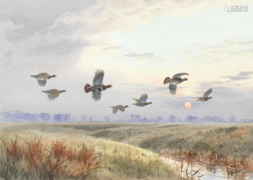 Partridge at dusk  John Cyril Harrison(British, 1898-1985)