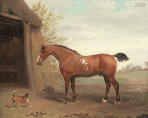A bay cob and terrier by a stable George Garrard(? 1760-1826 London)