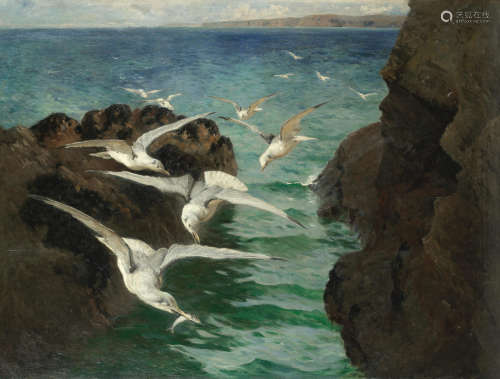 Gulls, St Ives bay William Holt Yates Titcomb(British, 1858-1930)