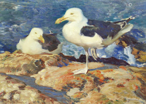 Great Black Backed Gulls Charles Walter Simpson, R.I., R.O.I.(British, 1885-1971)