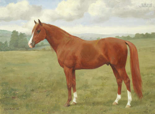 A chestnut stallion in a field Frances Mabel Hollams(British, 1877-1963)