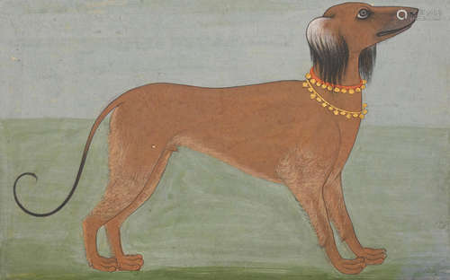 MEWAR, 18TH CENTURY  A PORTRAIT OF A HUNTING DOG