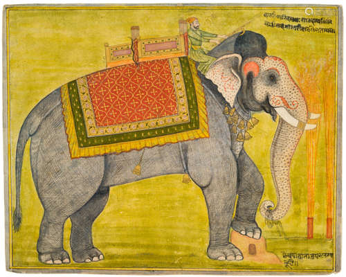 KISHANGRAH, CIRCA 1770  A PORTRAIT OF THE ELEPHANT ARIDALAN