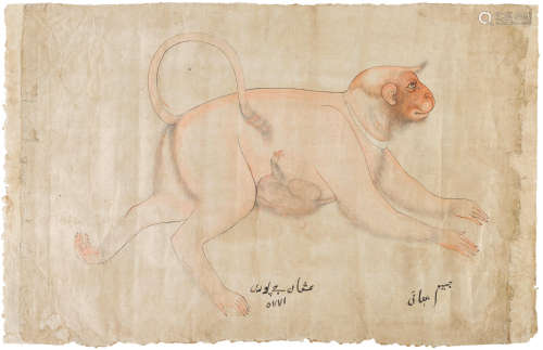 NORTH INDIA, LATE 18TH/EARLY 19TH CENTURY MONKEY AND BABY