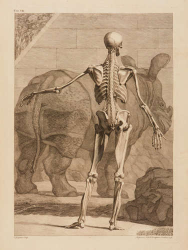 Tables of the Skeleton and Muscles of the Human Body. [Bound with:] A Compleat System of the Blood-Vessels and Nerves. London: John and Paul Knapton, 1749 and 1750.  ALBINUS, BERNARD SIEGFRIED. 1697-1770.