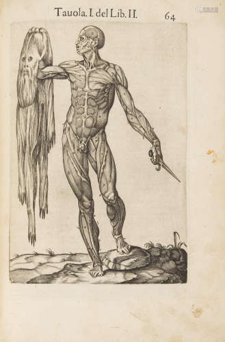 Anatomia del corpo humano.  Rome: Antonio Salamanca and Antonio Lafrery, 1560. VALVERDE DE HAMUSCO, JUAN DE. Fl. 1560.
