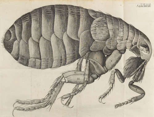 Micrographia: or some Physiological Descriptions of Minute Bodies made by Magnifying Glasses.  London: John Martyn and James Allestry for the Royal Society, 1665.  HOOKE, ROBERT. 1635-1703.