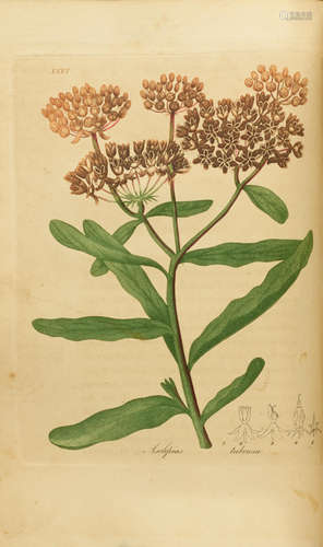 American Medical Botany, Being a Collection of the Native Medicinal Plants of the United States.... Boston: Cummings and Hilliard, 1817-20.  BIGELOW, JACOB. 1787-1879.