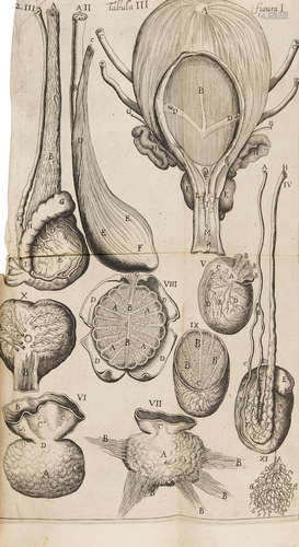 Anatome corporis humani: plurimis novis inventis intructa.... Utrecht: Meinard a Dreunen, 1672. DIEMERBROECK, ISBRAND VAN. 1609-1674.