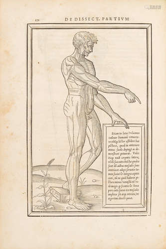 De dissectione partium corporis humani libri tres. Una cum figuris, & incisionum declarationibus, a Stephano Riverio Chirurgo compositis.  Paris: Simon de Colines, 1545.  ESTIENNE, CHARLES. C. 1505-1564.