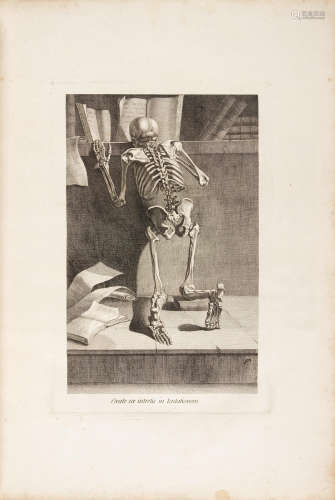 Nouveau recueil d'ostologie et de myologie, dessin d'apres nature ... pour l'utilit des sciences et des arts.  Toulouse: J.F. Desclassan, 1779.  GAMELIN, JACQUES. 1738-1803.