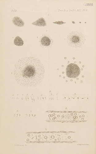 An Account of Certain Organisms Occurring in the Liquor Sanguinis. [Offprint from:] The Proceedings of the Royal Society, number 153, [London], 1874. OSLER, WILLIAM. 1849-1919.