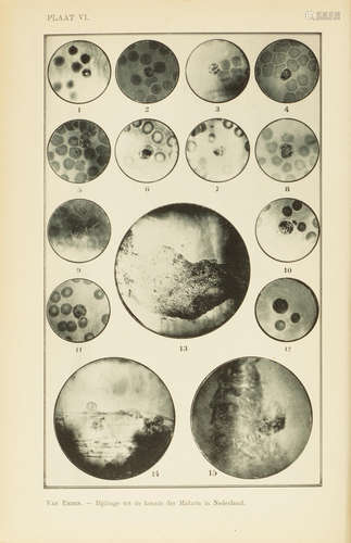 Galvanometrische Registratie van het menschelijk Electrocardiogram. In Herinneringsbundel Professor S.S. Rosenstein. Leiden: Eduard Ijdo, 1902. EINTHOVEN, WILLEM. 1860-1927.